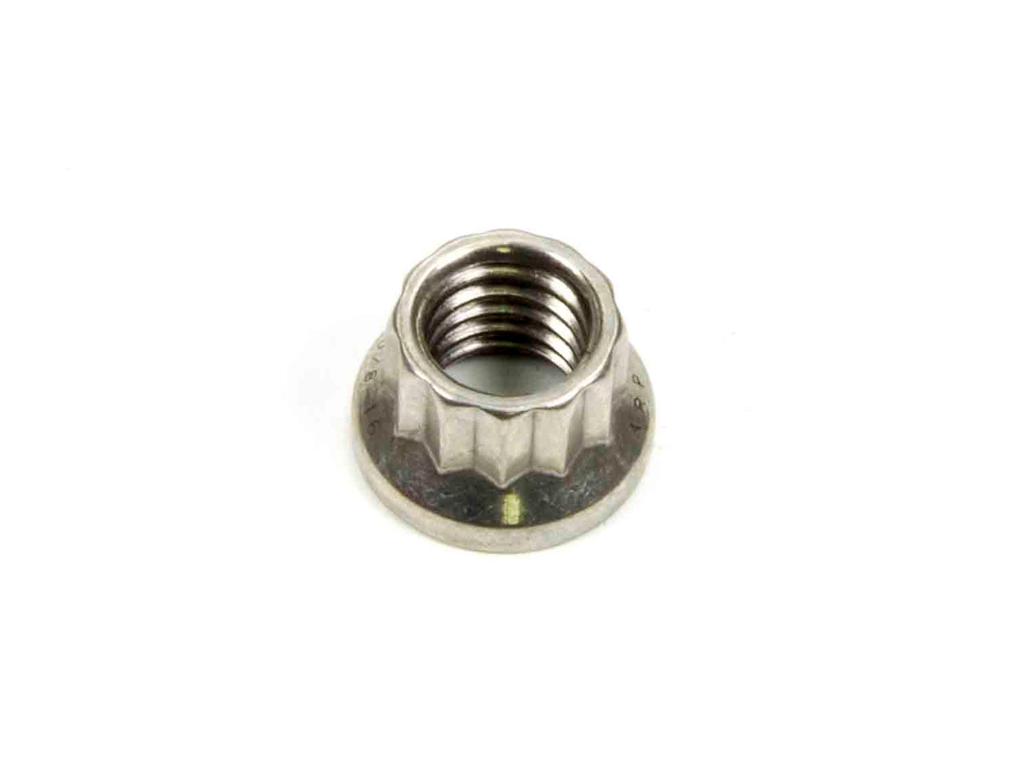 S/S 12pt. Nut - 3/8-16 1