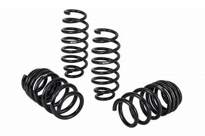 Pro-Kit Tesla 17-20 Long Range RWD 4 Springs