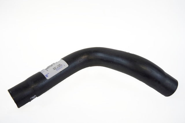 Radiator Outlet Hose - Lower