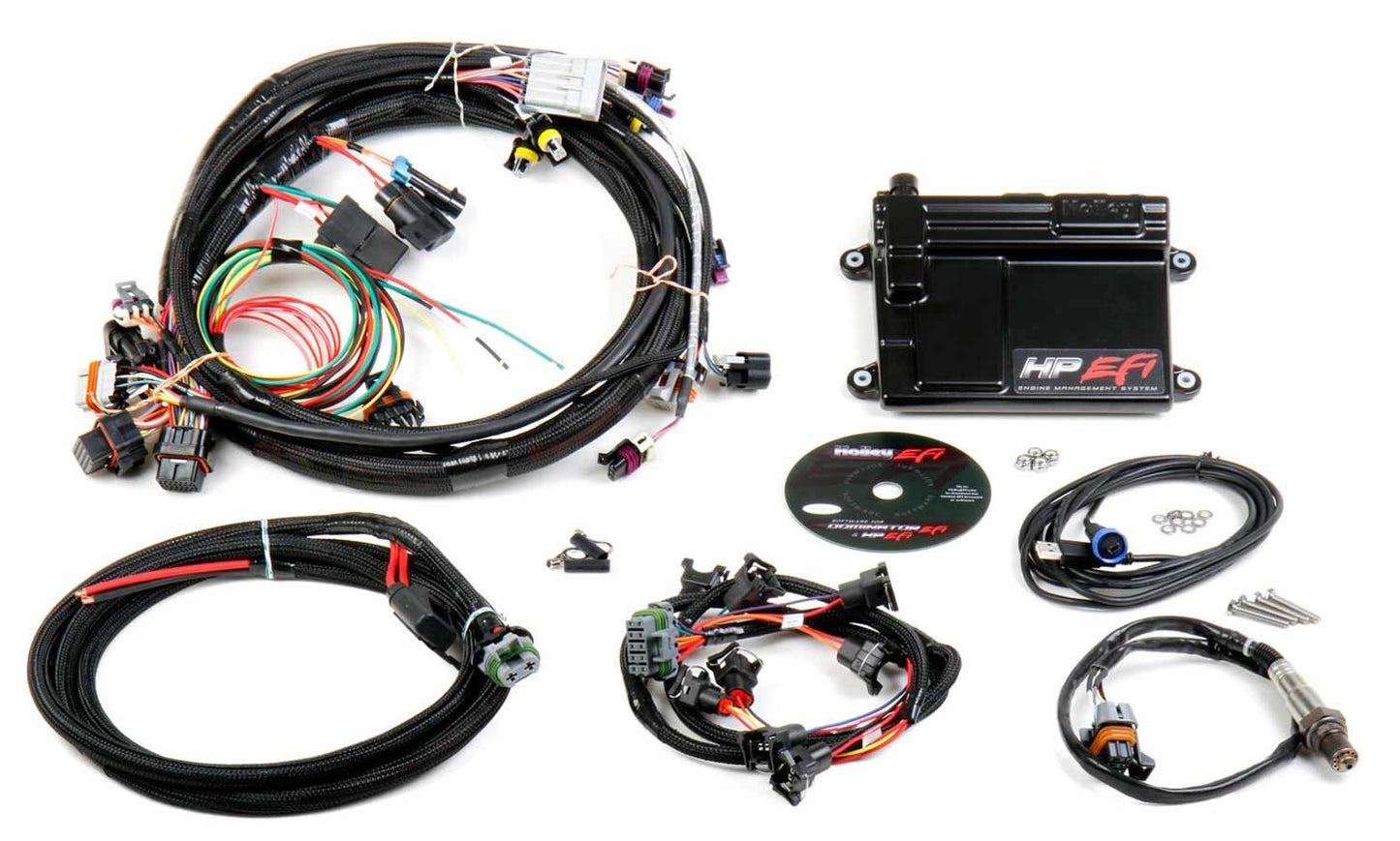 ECU & Wiring Harness LS1