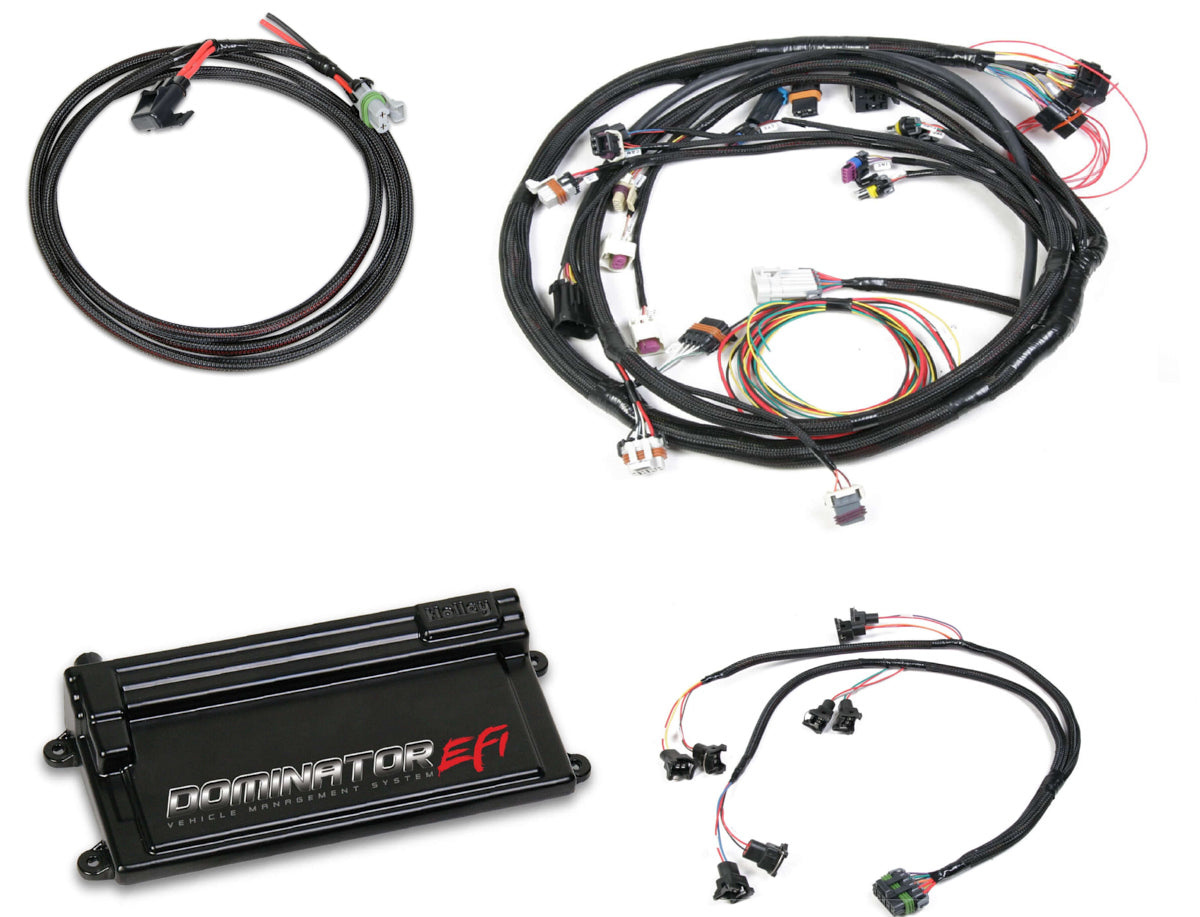 Dominator EFI Kit - LS2/LS3 Late Truck