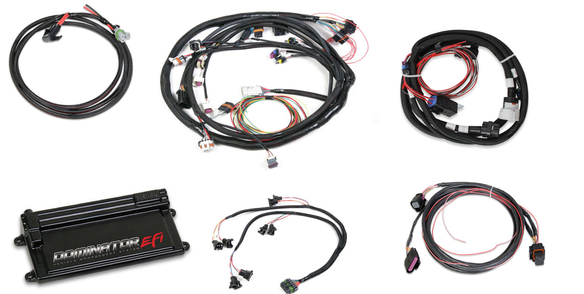 Dominator EFI Kit - LS2 w/Trans Contr & DBW