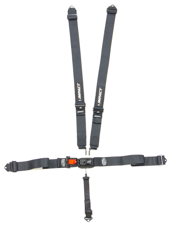 5-PT Harness System L&L Ind Shoulder Pull Down