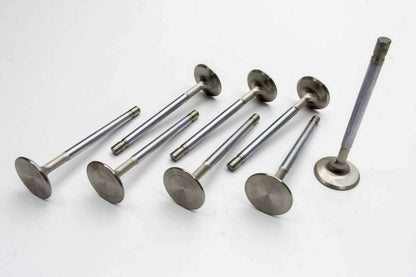 BBC S/F 2.065in Intake Valves