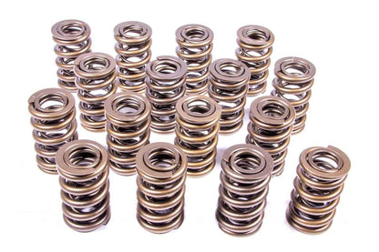 1.244 Dual Valve Springs 16