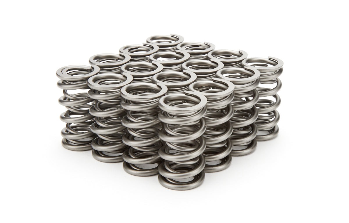 1.290 Dual Valve Springs - RPM Series 16