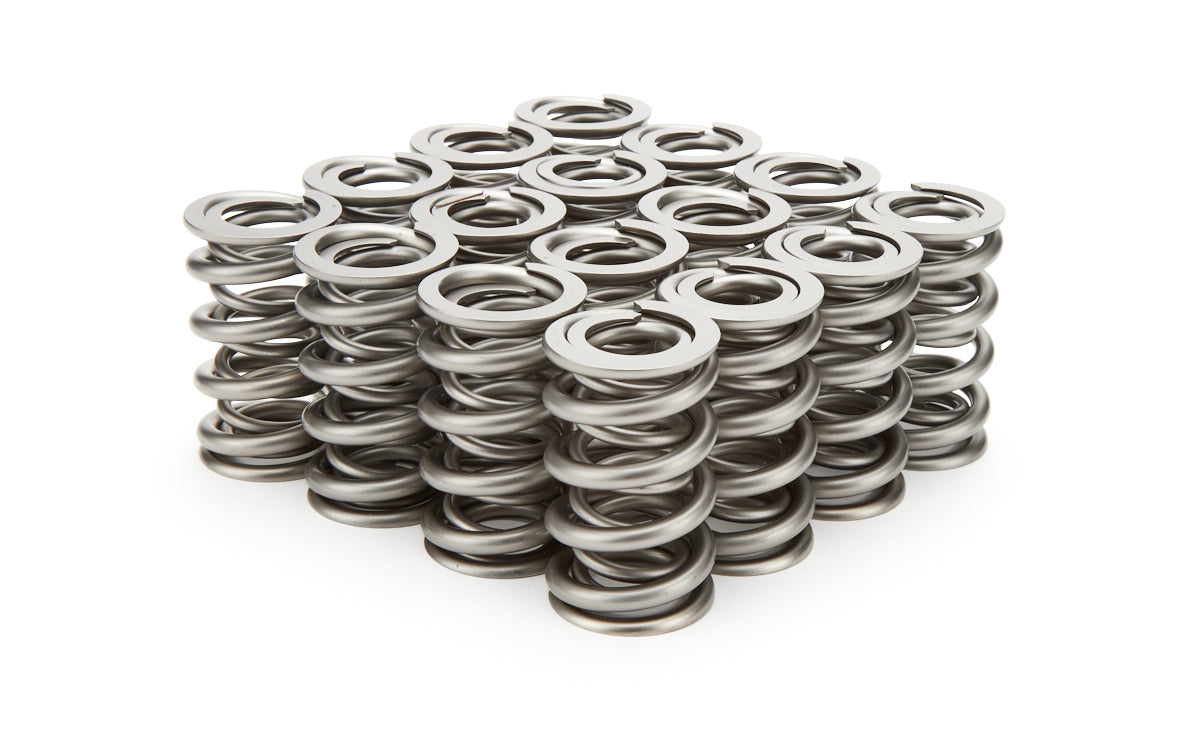 1.324 Dual Valve Springs - RPM Series 16