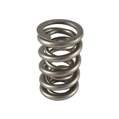 Dual Valve Springs - Ovate 16 GM LS