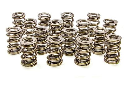 1.625 Dual Valve Springs - 16