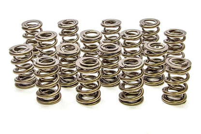 1.625 Dual Valve Springs - 16