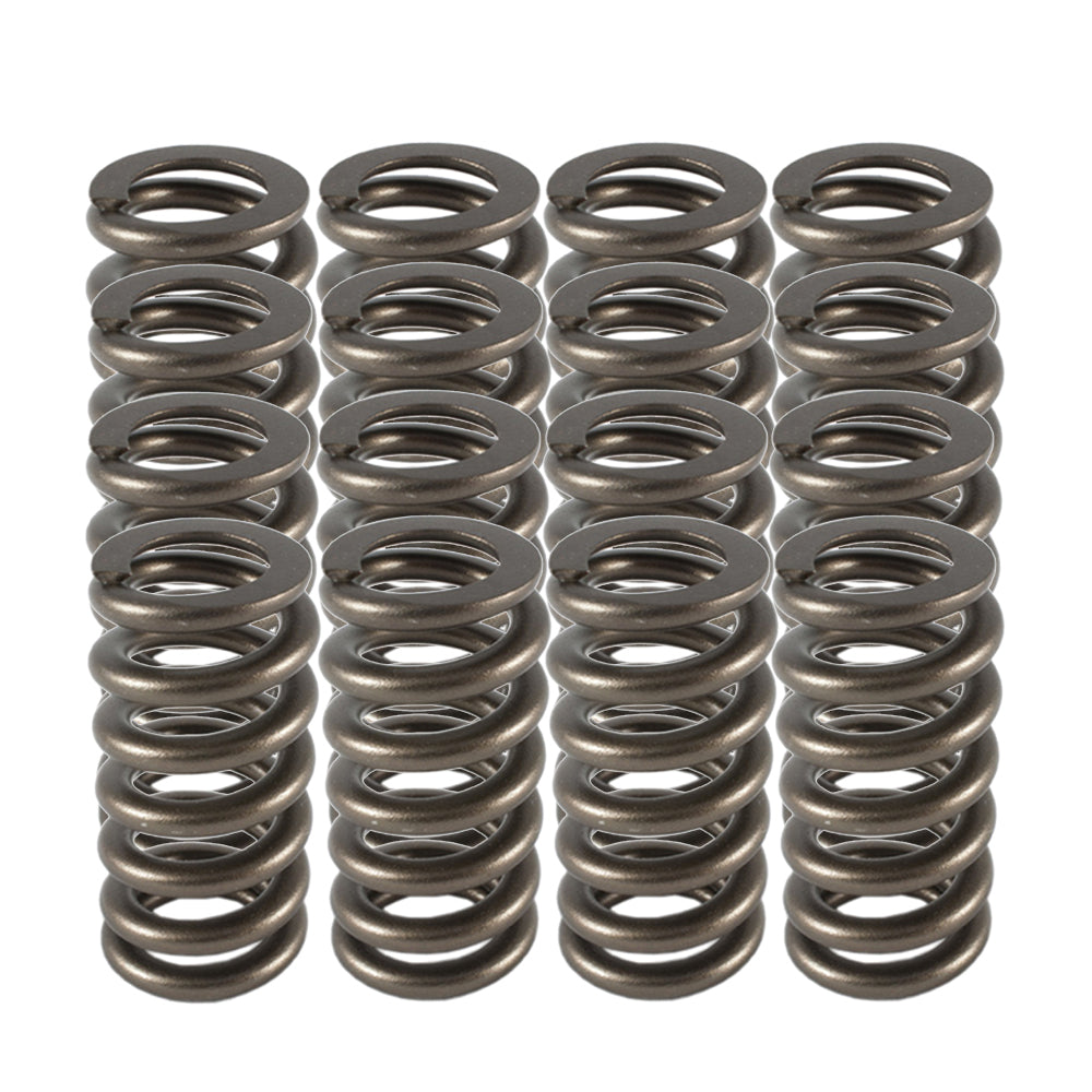 1.025 Valve Springs - Ovate Beehive 16