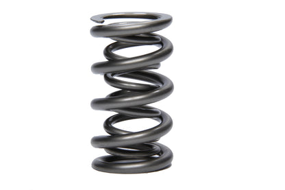 1.500 Dual Valve Spring 1