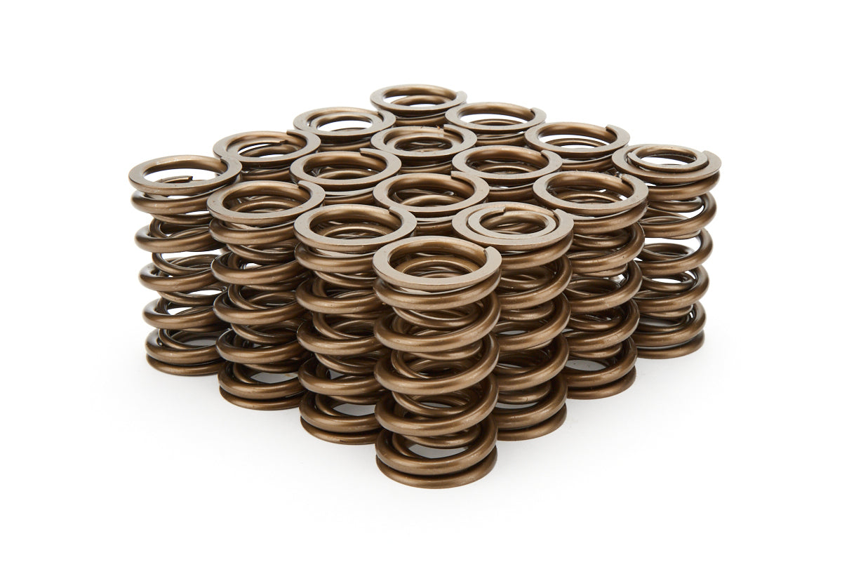 1.374 Dual Valve Springs - 16