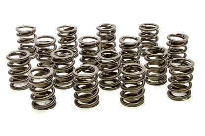 Valve Springs - HR Series 16