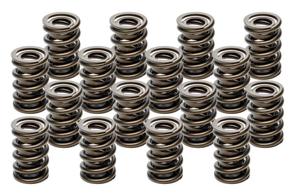 Valve Springs - HR Series 16 1.555 Dual