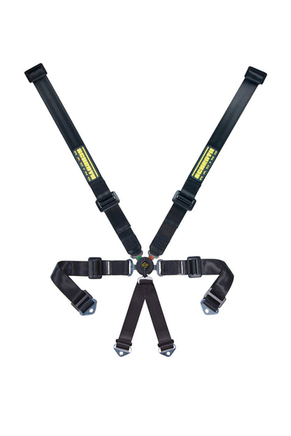 6pt Harness Profi 2x2 Pull-Down Lap