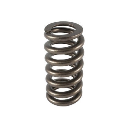 1.307 Valve Spring - 1pk Ovate Beehive