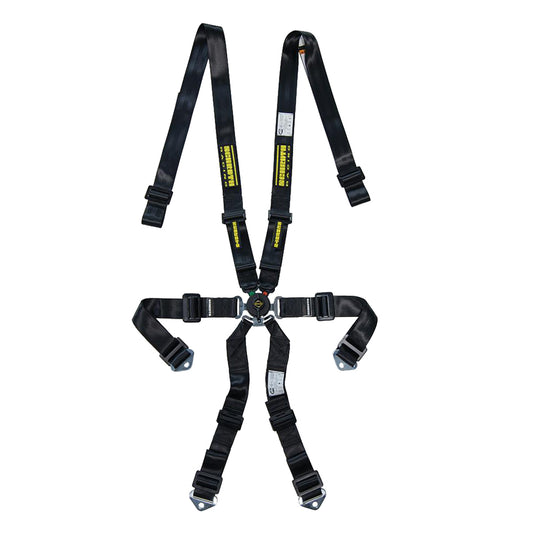 6pt Harness Profi 2x2 Pull-Down Lap